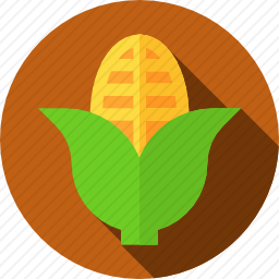 <em>玉米</em>