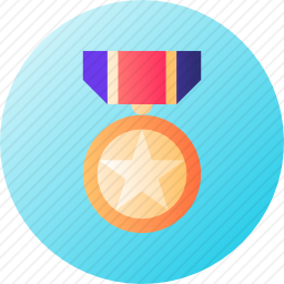 <em>奖项</em>