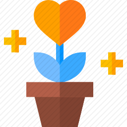 <em>植物</em>
