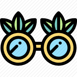 太阳镜