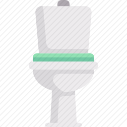 <em>马桶</em>