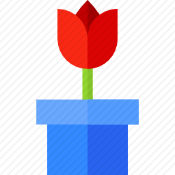 植物