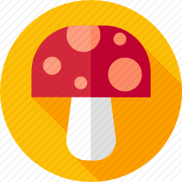 <em>蘑菇</em>