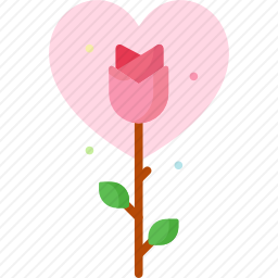 <em>玫瑰</em>