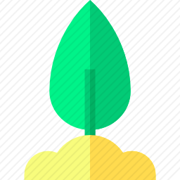 萌芽