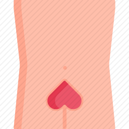 髋关节