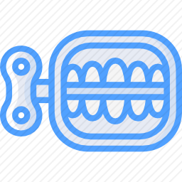 <em>牙齿</em>