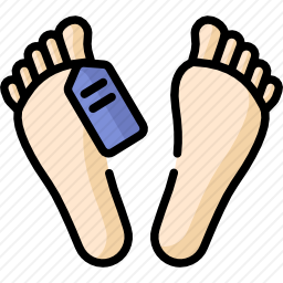 尸体