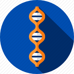 DNA