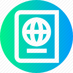 <em>护照</em>