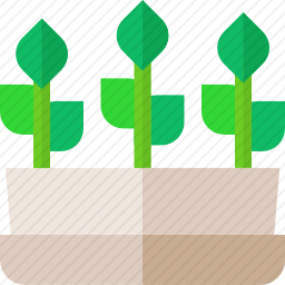 植物