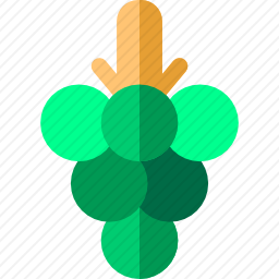 <em>葡萄</em>