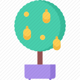 水果树