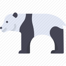 <em>熊猫</em>