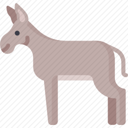 驴