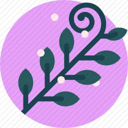植物