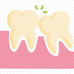 <em>牙齿</em>