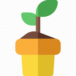 植物