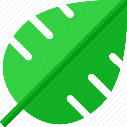 <em>叶子</em>