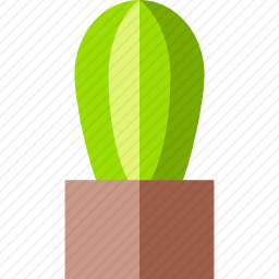 <em>仙人掌</em>