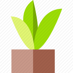 植物