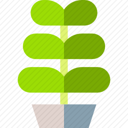 植物