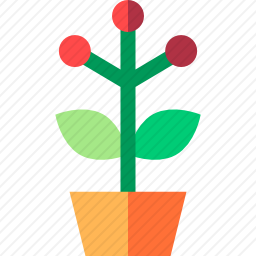 花盆