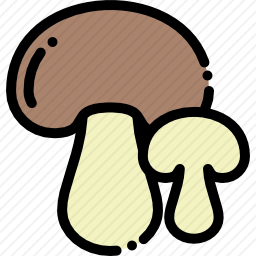 <em>蘑菇</em>