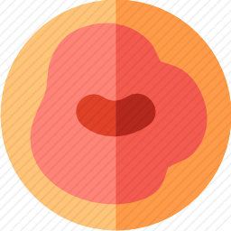 <em>辣椒</em>