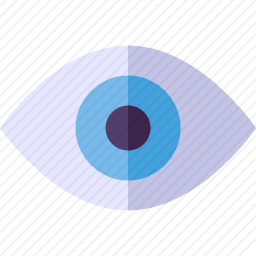 查看