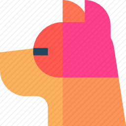 <em>狗</em>