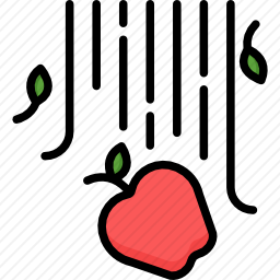 苹果