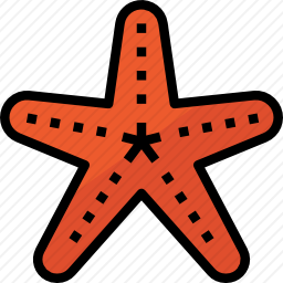 海星