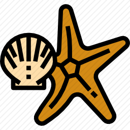 海星