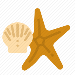 海星