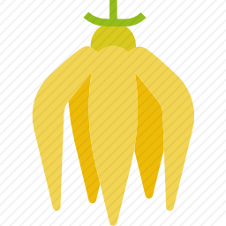 依兰依兰