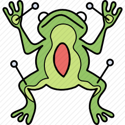 青蛙