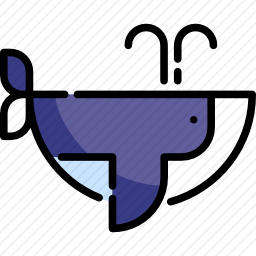 鲸鱼