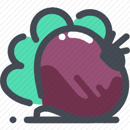 <em>甜菜</em>