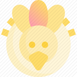 <em>火鸡</em>