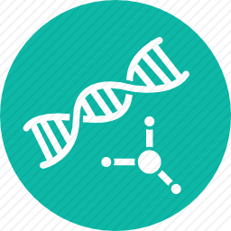 DNA