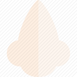 鼻子