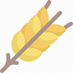 <em>小麦</em>