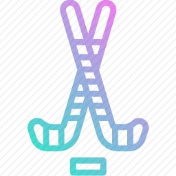 <em>曲棍球</em>