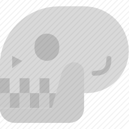 <em>颅骨</em>