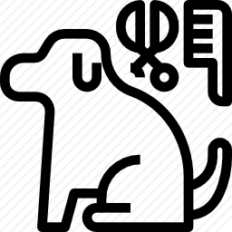 <em>梳</em><em>毛</em>
