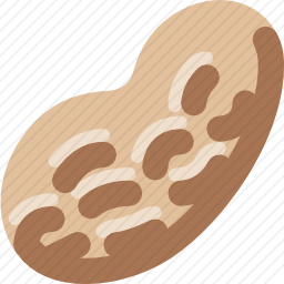 <em>花生</em>
