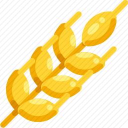 <em>小麦</em>