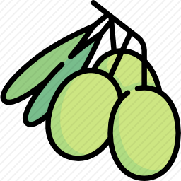 橄榄