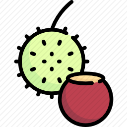 板栗